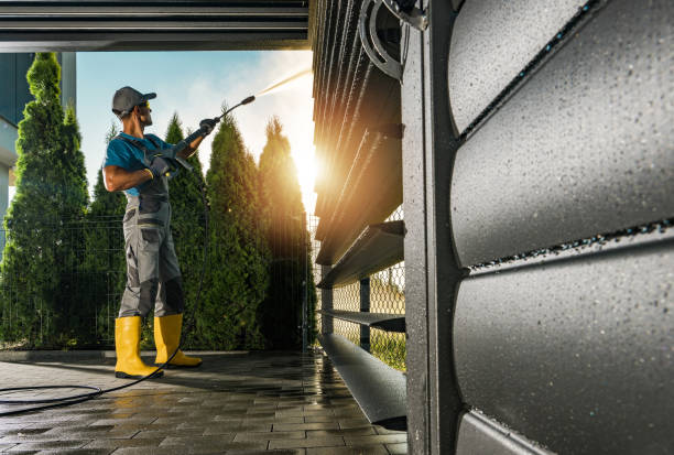 Best Pressure Washing Driveway  in Mancelona, MI