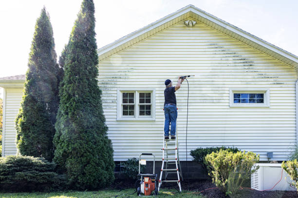 Best Pressure Washing Brick  in Mancelona, MI