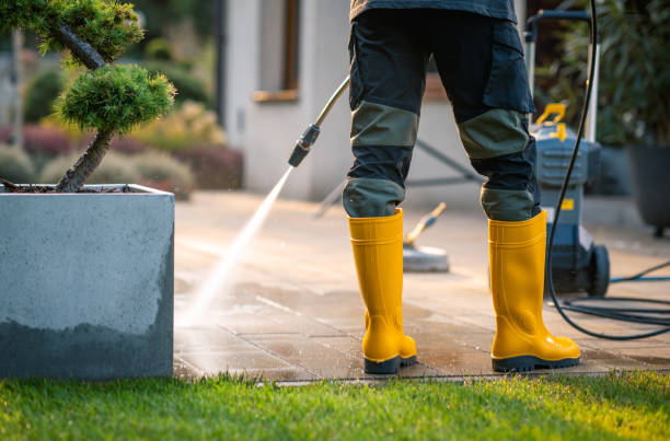 Best Power Washing Near Me  in Mancelona, MI